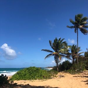 Meet your Posher, Deyanira